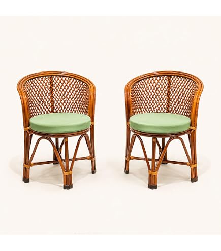 Avika Cane Rattan Easy Chair with Cushion : Amazon.in: Home & Kitchen